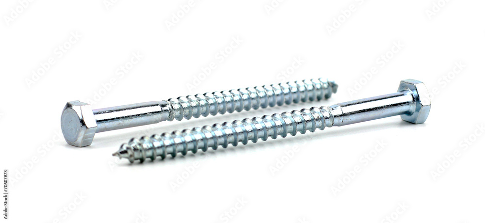 two screws on white background two screws on white background