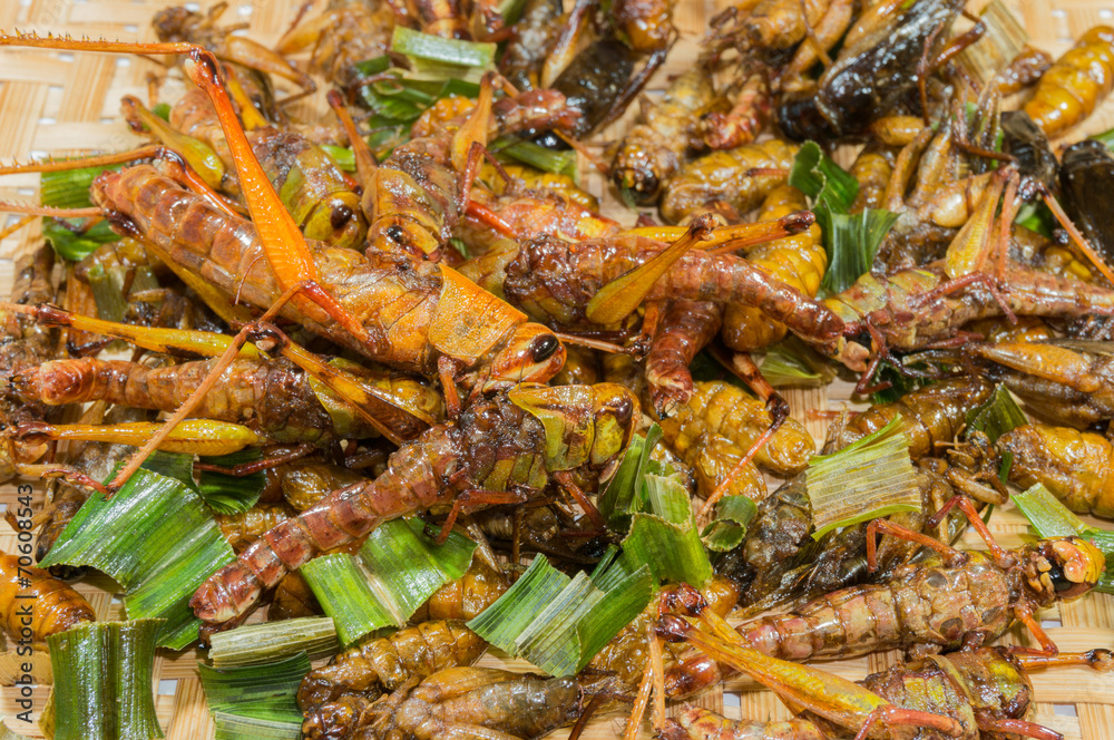 Crispy fried insects with basketwork background