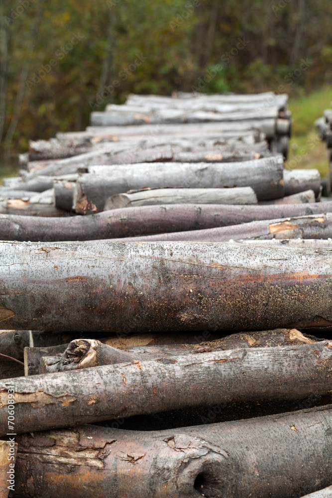Background of firewood stacked in the woodpile Background of firewood stacked in the woodpile