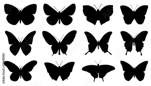 Canvas Print butterfly silhouettes