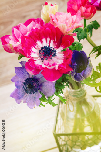 Fototapeta Naklejka Na Ścianę i Meble -  anemone flower
