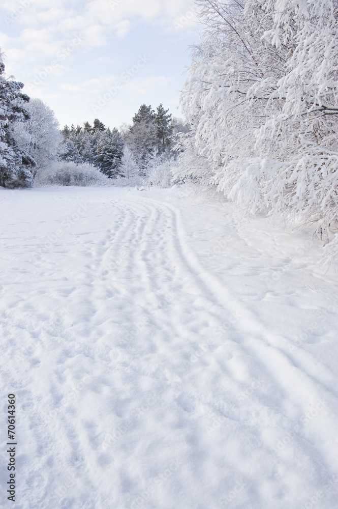 Fototapeta premium Winter landscape
