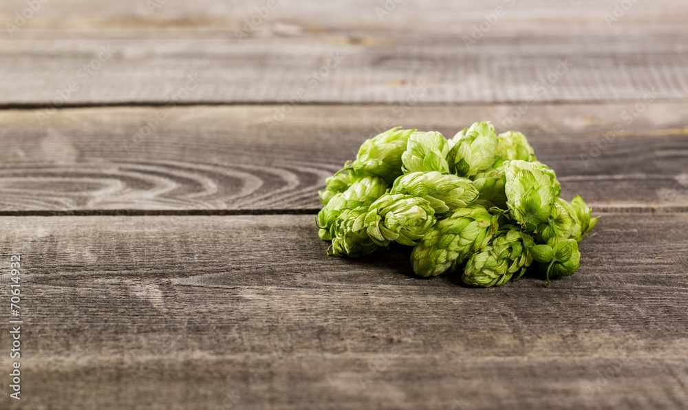 Fresh green hops on a wooden table Fresh green hops on a wooden table