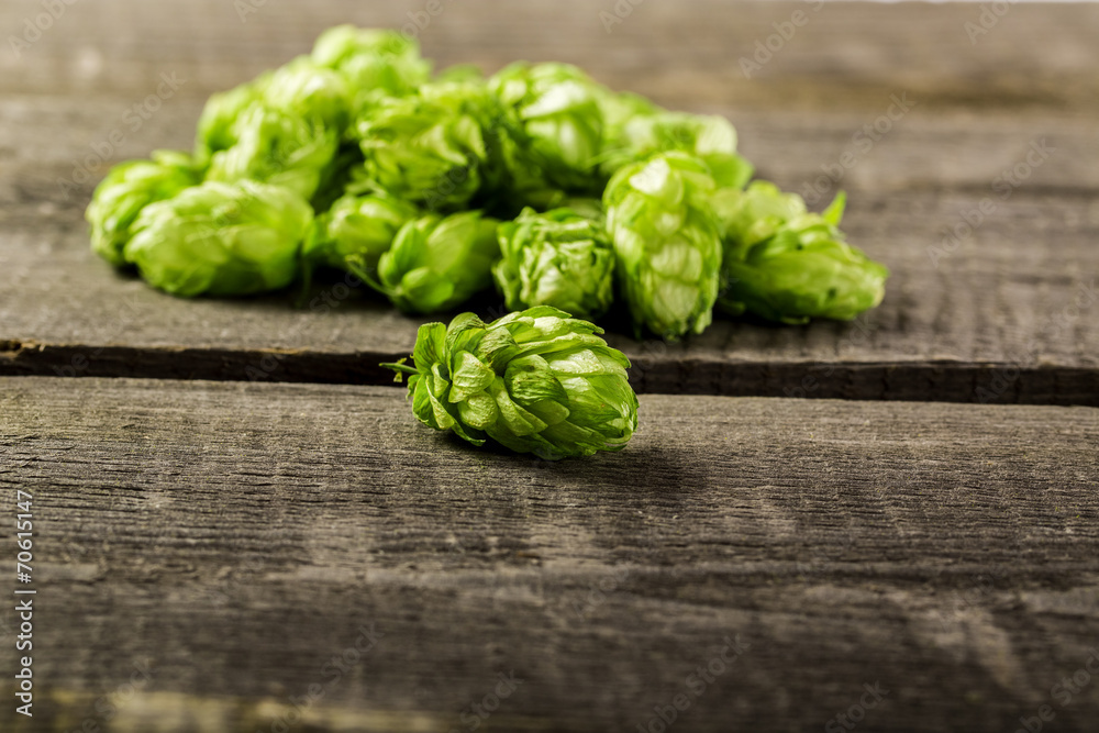Fresh green hops on a wooden table Fresh green hops on a wooden table