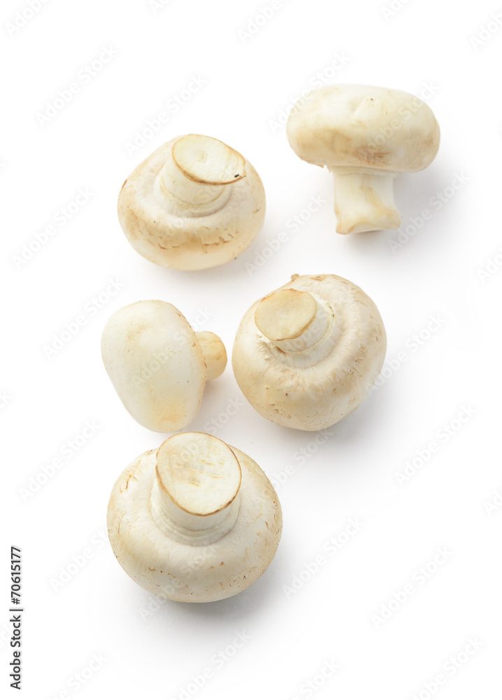 Champignon mushrooms Champignon mushrooms