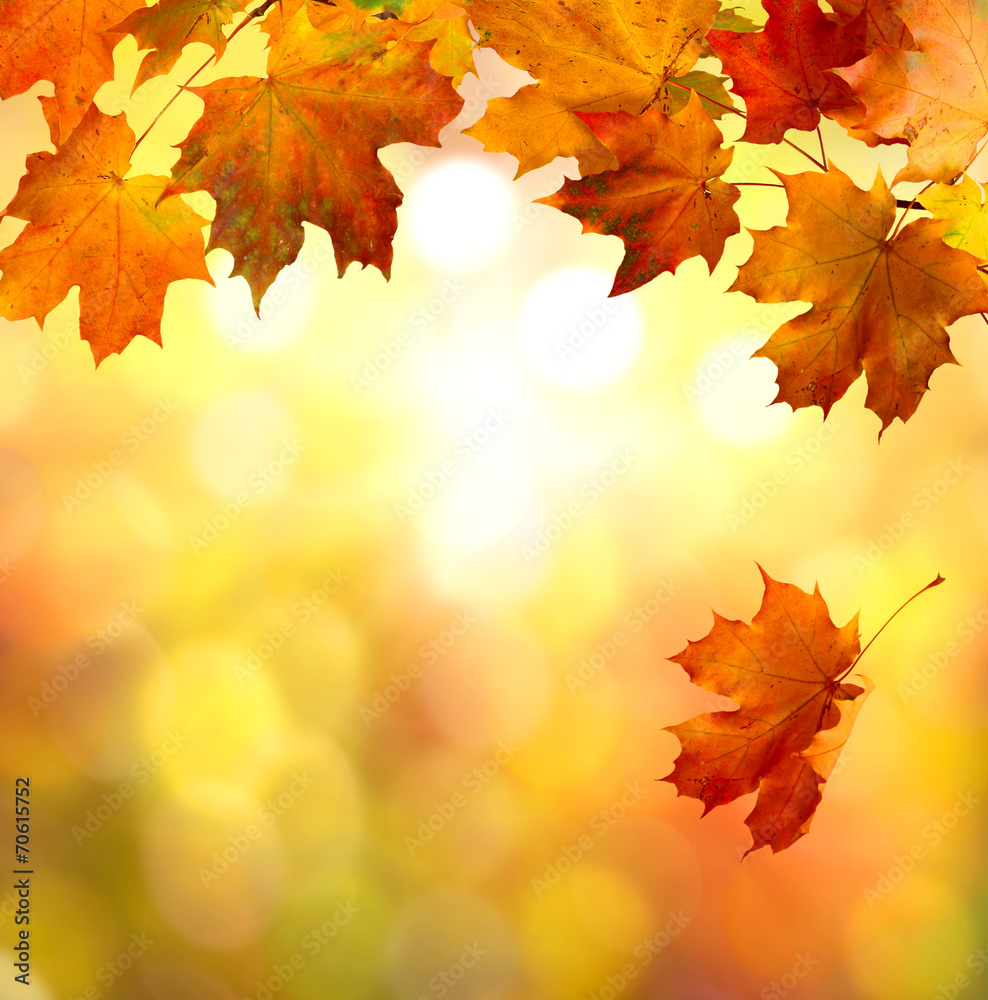 Autumn leaves Autumn leaves