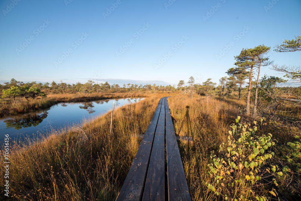 Ταπετσαρία wooden footpath on the bog