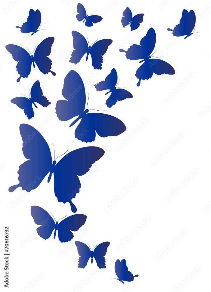 Obraz premium butterflies design
