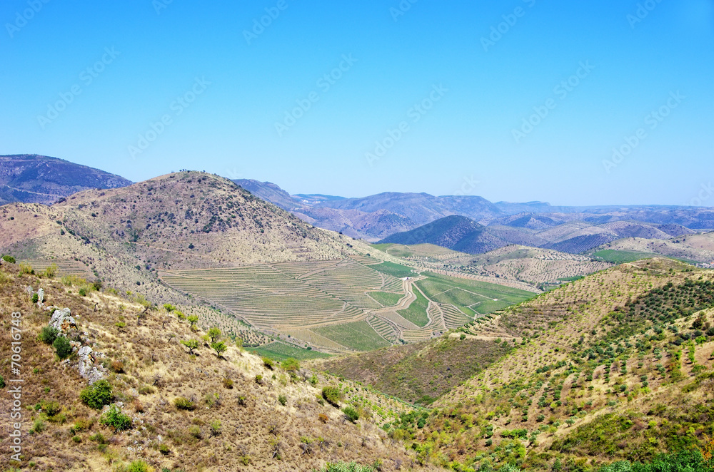 Landscape of Douro Valley, Portugal