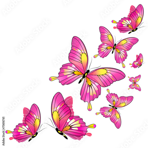 butterflies design © aboard