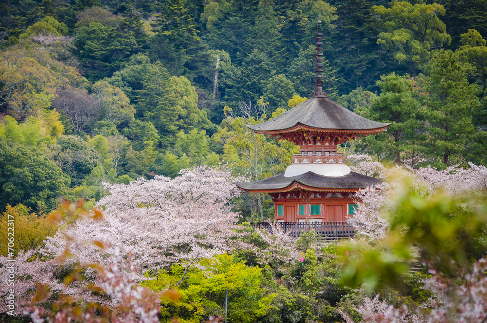 Goju-no-to pagoda of Senjokaku shrine - Miyajima ,Japan