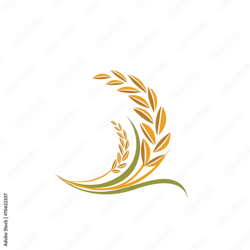 Curved Rice Vector rice vector Stock Vector | Adobe Stock