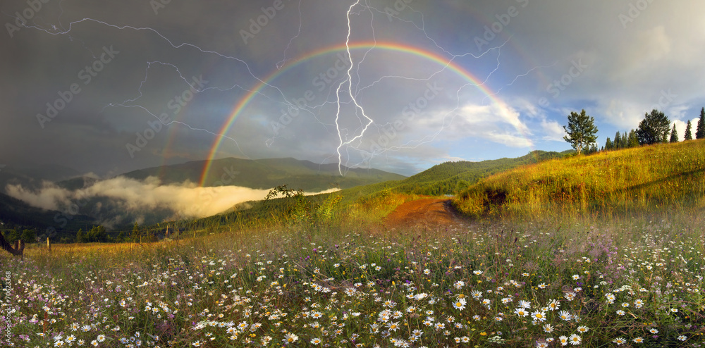 panorama of mountain meadows in Transcarpathia