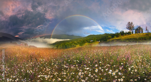 panorama of mountain meadows in Transcarpathia