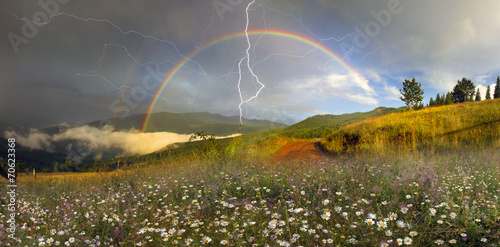 Obraz na płótnie panorama of mountain meadows in Transcarpathia w salonie