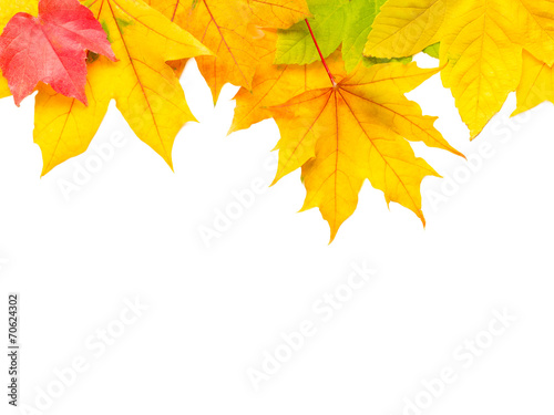 Herbstblätter als Hintergrund