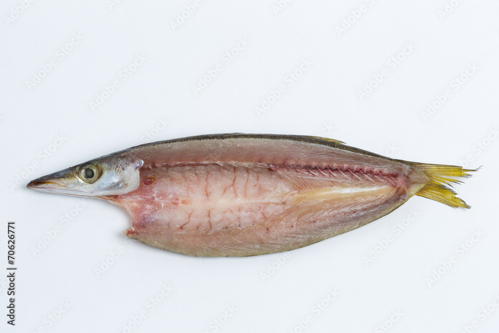 カマスの干物 カマスの干物