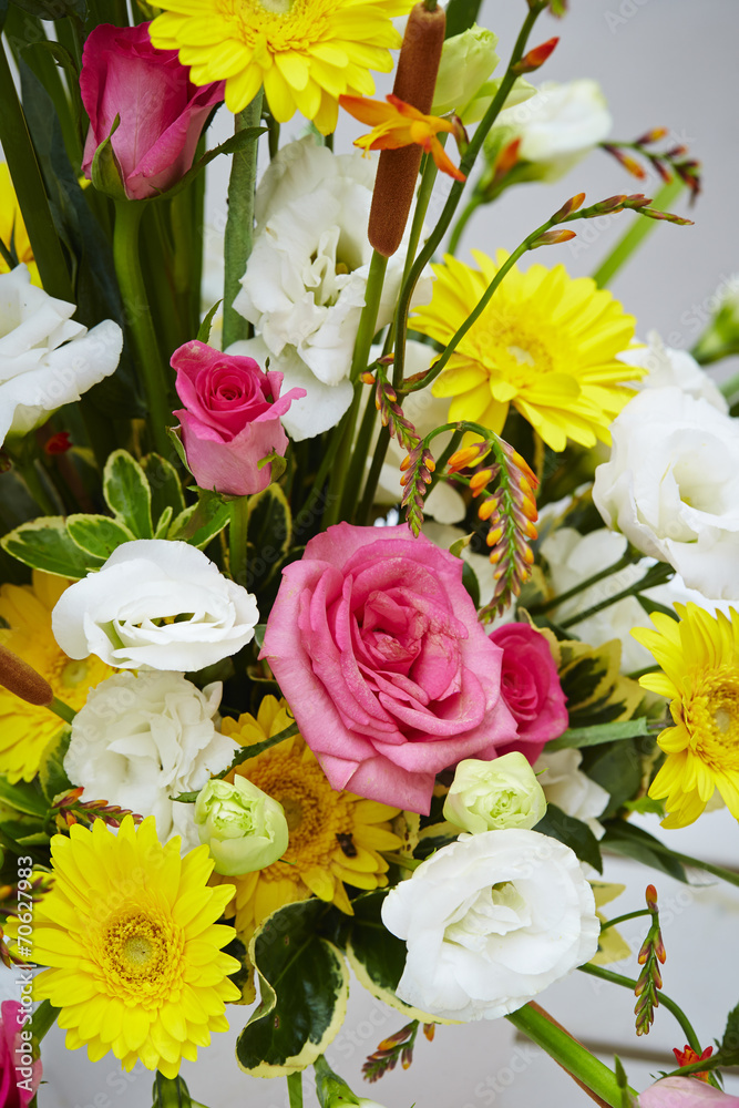 Flowers Flowers