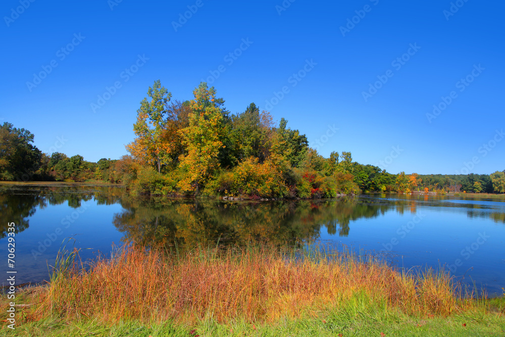 Island of autumn trees