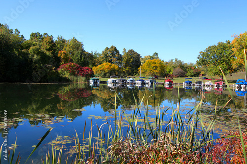 Early autumn in Michigan photo