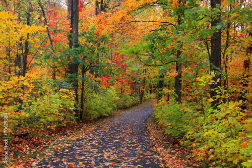 Fotografia Bike trail in autumn time
