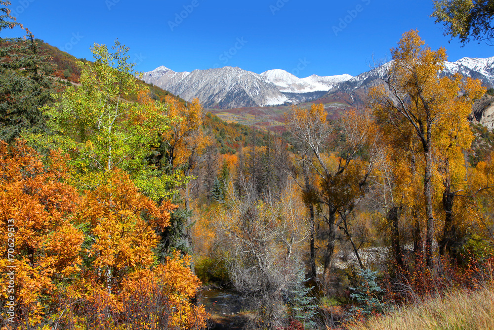 Scenic autumn landscape