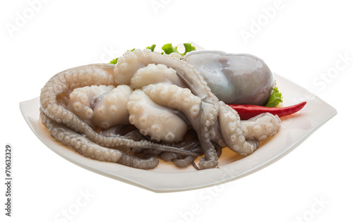 Raw octopus