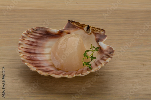 Raw scallops photo