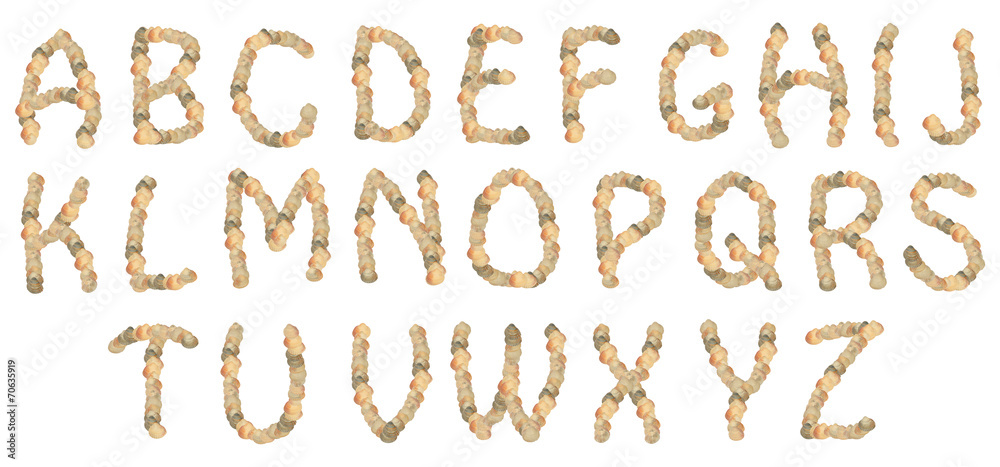 shell alphabet