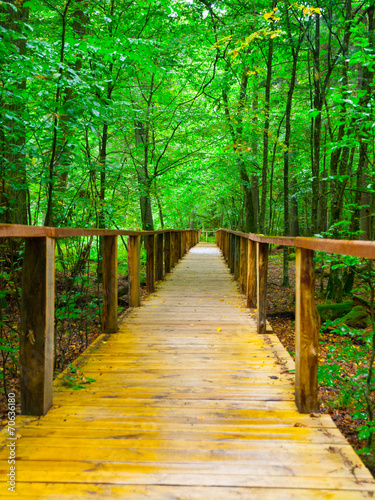 Wooden path