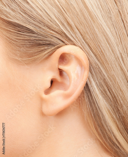 close up of woman's ear photo