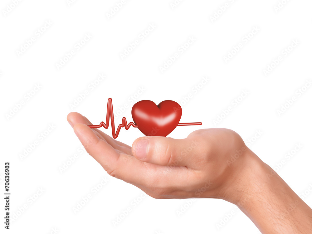 Fototapeta premium hand holding red heart. healthcare and medicine concept