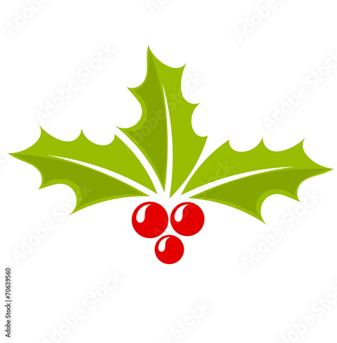 Christmas holly berry icon