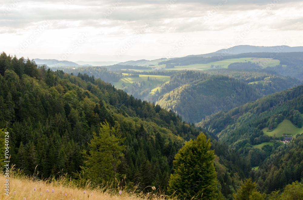 Schwarzwald Aussicht