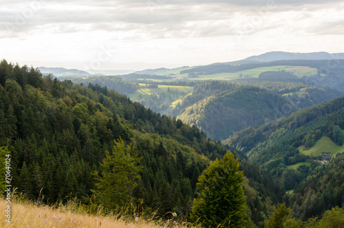 Schwarzwald Aussicht