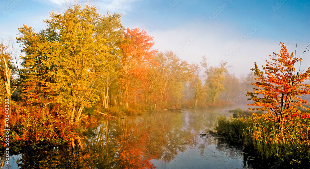 fall leaves reflection in the fog