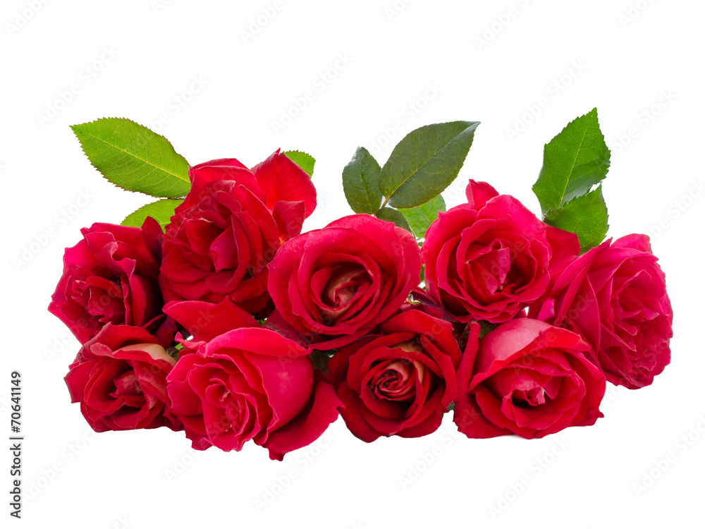 Bouquet of Red Rose - obrazy, fototapety, plakaty 
