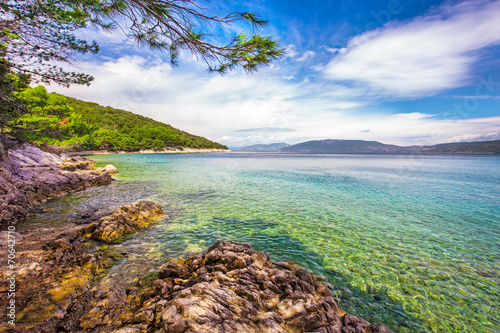 Beach scenery with pine tree in Croatia, Istria, Europe