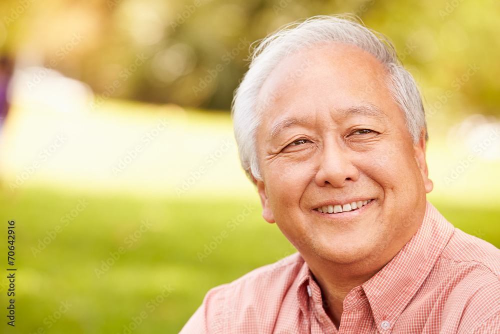 Portrait Of Smiling Senior Asian Man Sitting In Park Portrait Of Smiling Senior Asian Man Sitting In Park