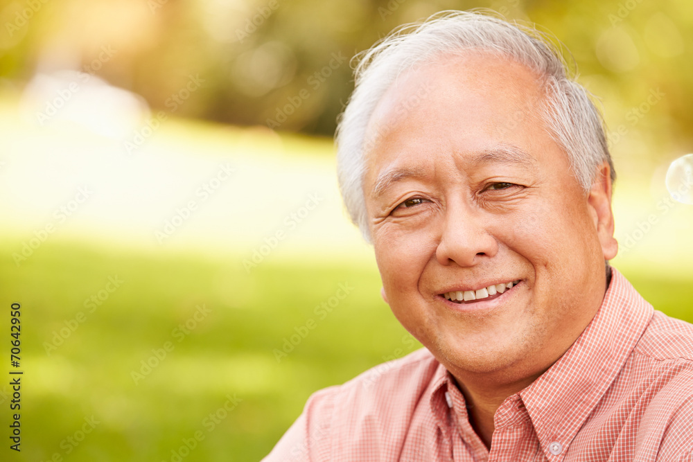 Portrait Of Smiling Senior Asian Man Sitting In Park Portrait Of Smiling Senior Asian Man Sitting In Park