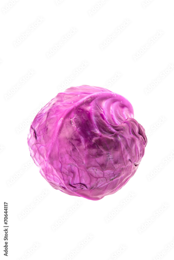 Cabbage isolated on white Cabbage isolated on white