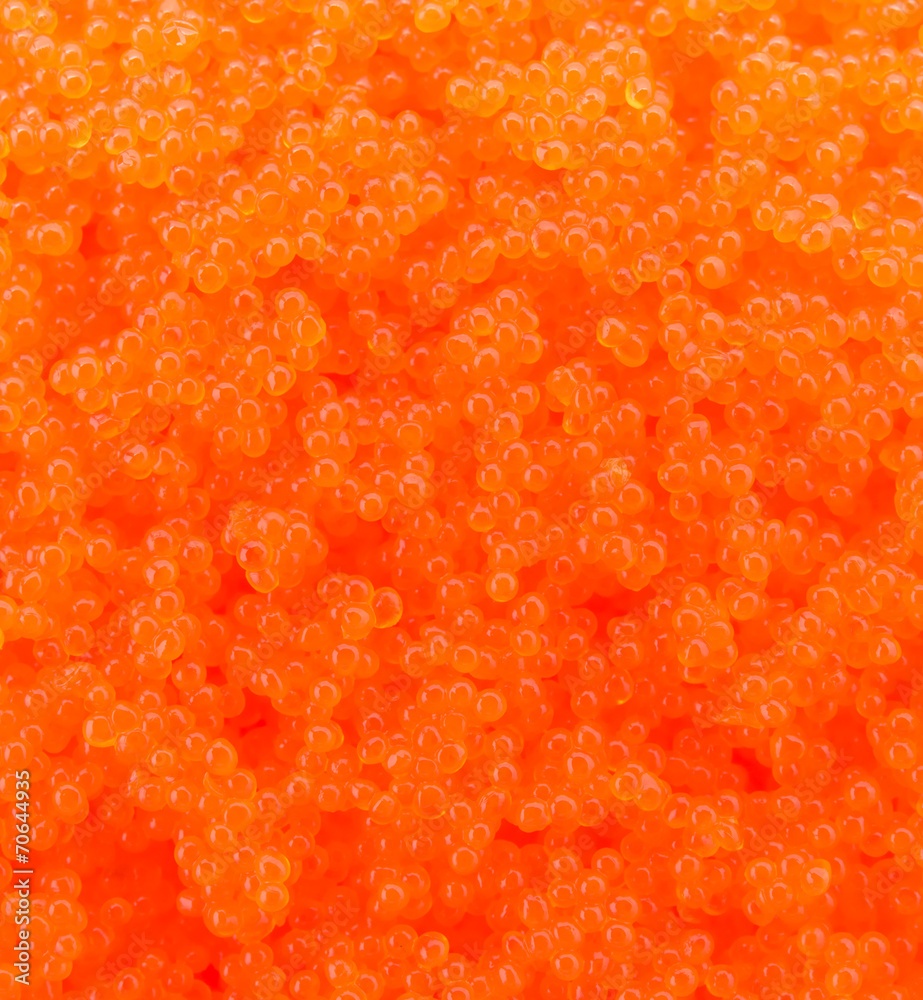 Egg shrimp background Egg shrimp background