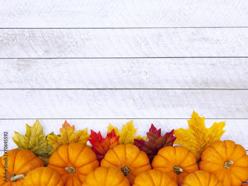 Autumn Pumpkin Thanksgiving Background