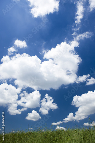 草原と夏空