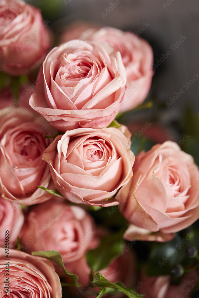 Fototapeta premium roses