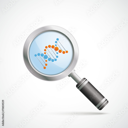 Loupe DNA