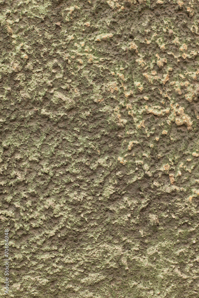 old decorative plaster old decorative plaster