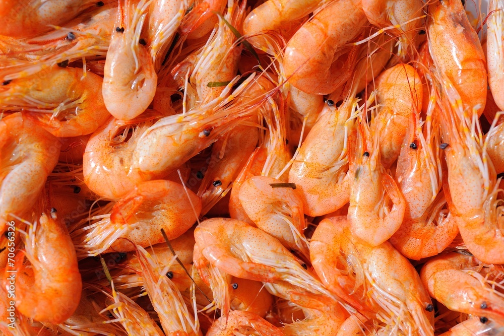 Shrimps Shrimps