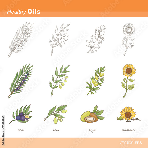 Healthy oils