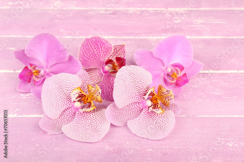 Pink tropical orchid flowers on color wooden background